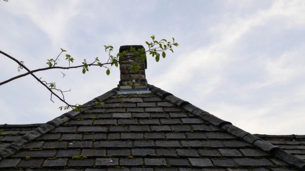 Soumettez votre projet de toiture à un expert couvreur à Fontainebleau
