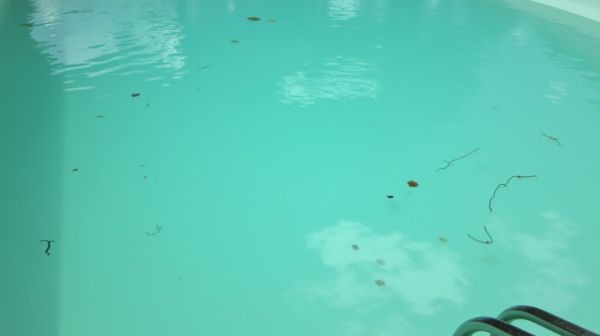 Traiter l'eau verte de votre piscine pour un retour à la clarté